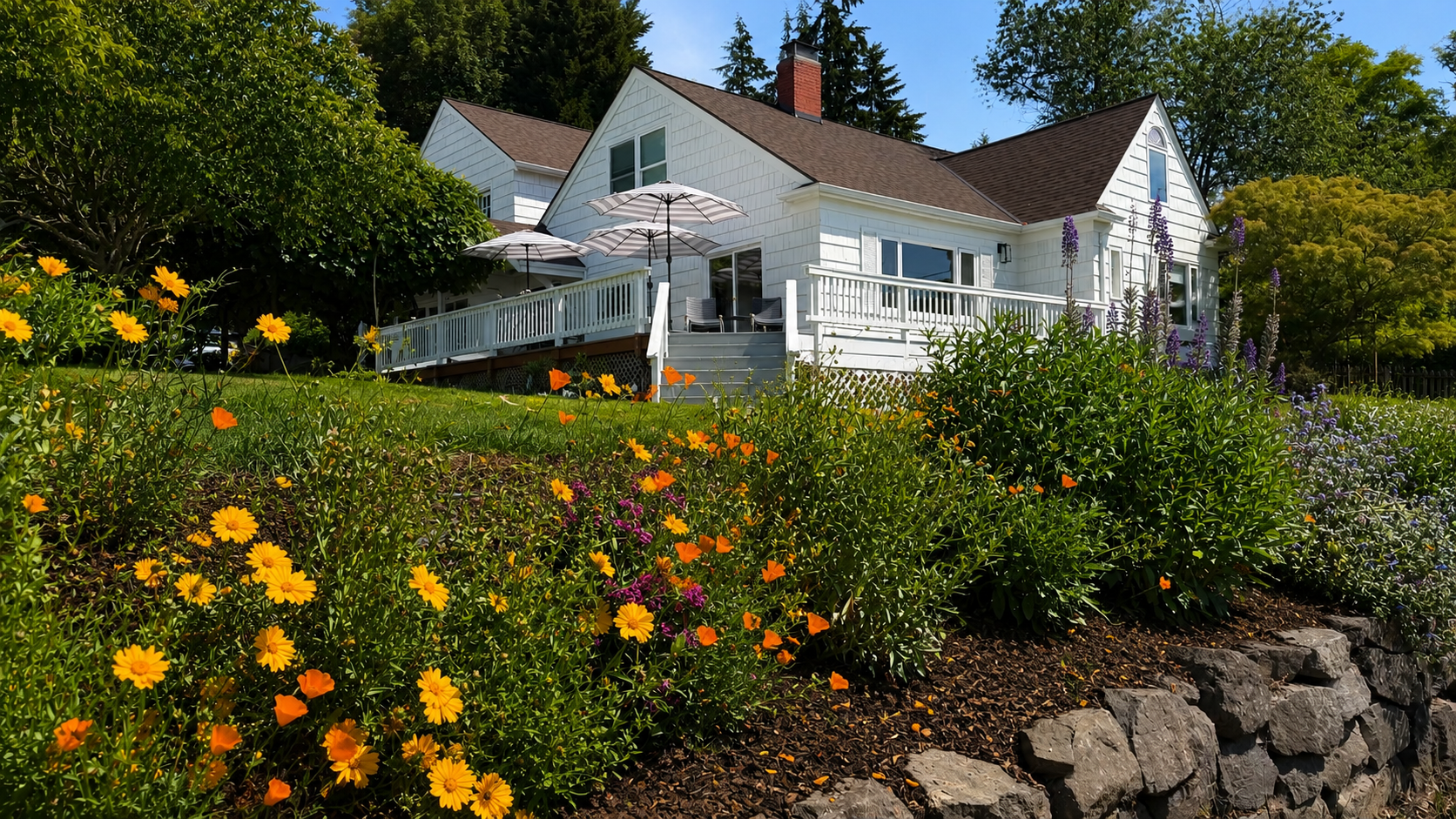 Beck Road Residence exterior — white Craftsman shingle home, wildflower garden with California poppies and lupine, garden deck with striped umbrellas