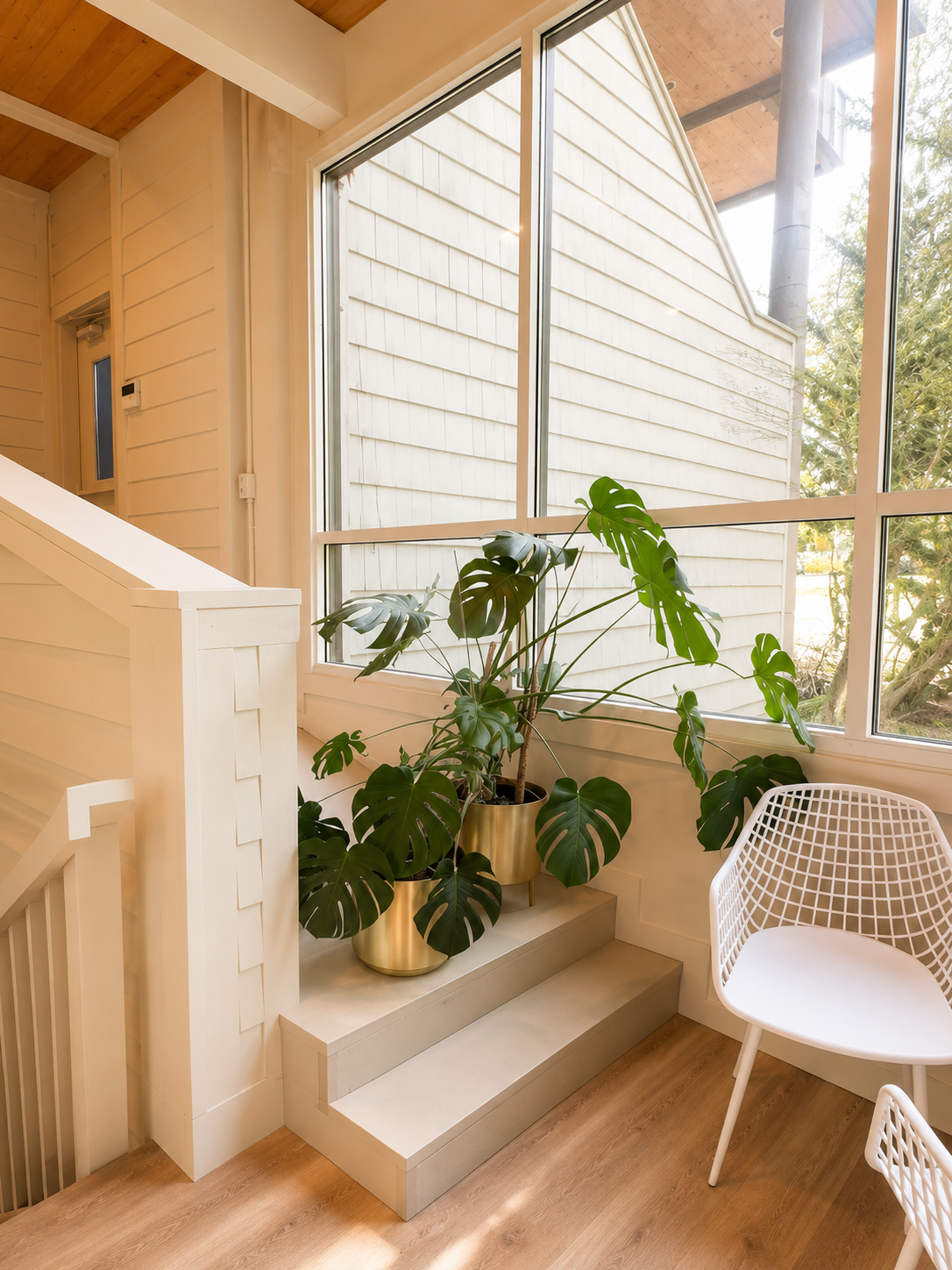 Lighthouse Fitness stairwell — large monstera plants in brass pots on stepped platform, floor-to-ceiling windows, warm cedar ceiling, white wire chair
